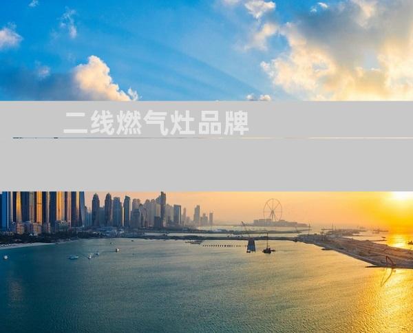 二线燃气灶品牌