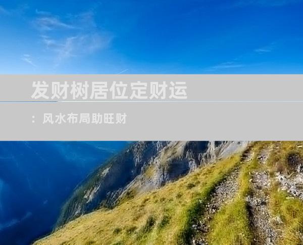 发财树居位定财运：风水布局助旺财