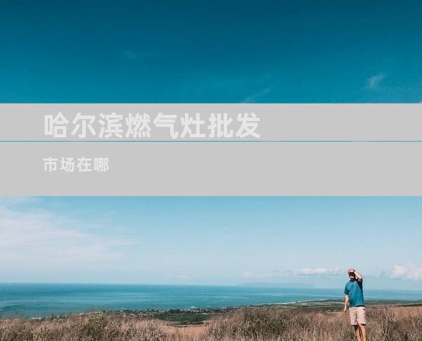 哈尔滨燃气灶批发市场在哪