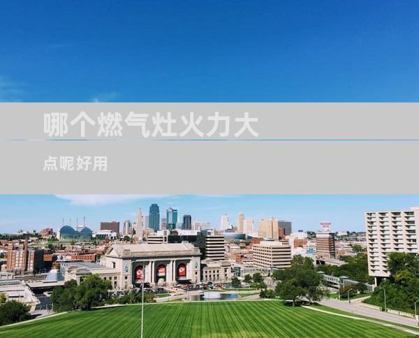 哪个燃气灶火力大点呢好用