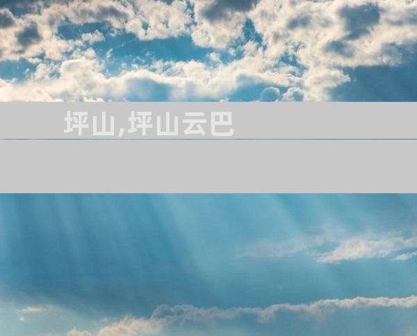 坪山,坪山云巴