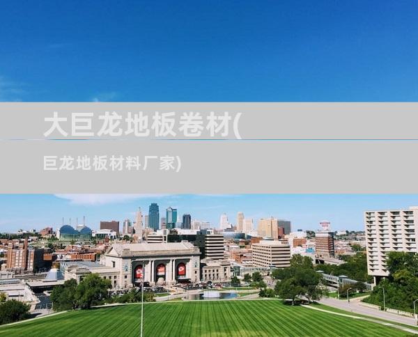 大巨龙地板卷材(巨龙地板材料厂家)