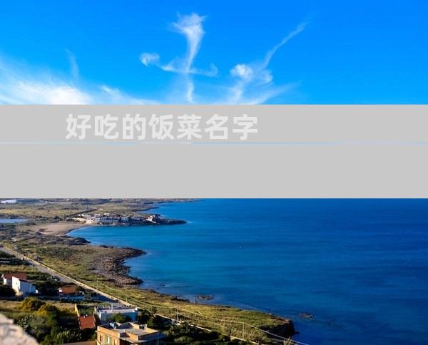 好吃的饭菜名字