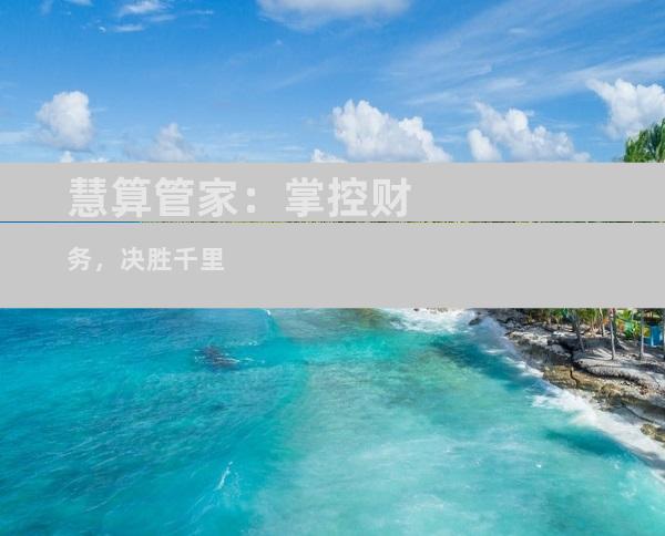 慧算管家：掌控财务，决胜千里
