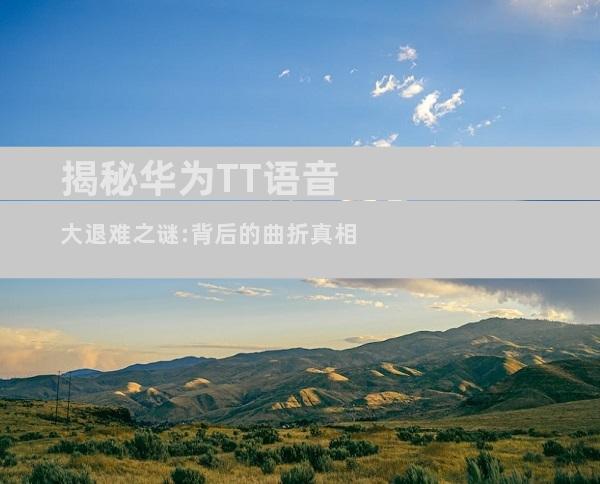 揭秘华为TT语音大退难之谜:背后的曲折真相