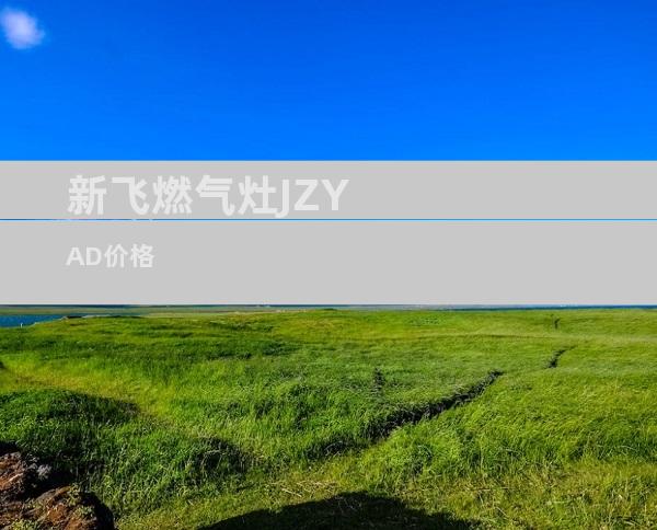 新飞燃气灶JZYAD价格
