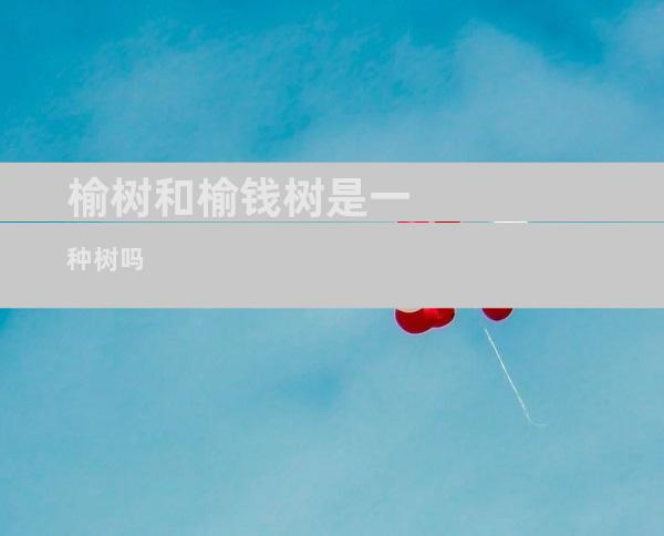 榆树和榆钱树是一种树吗