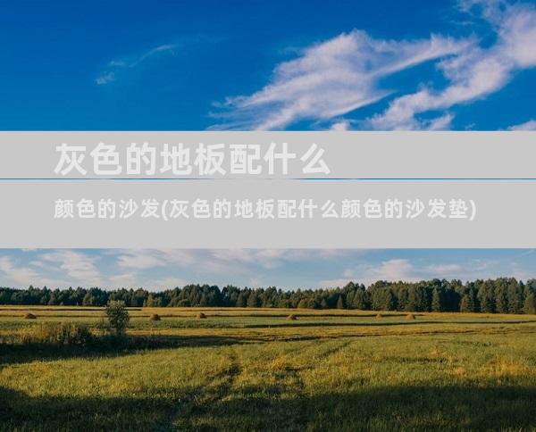 灰色的地板配什么颜色的沙发(灰色的地板配什么颜色的沙发垫)