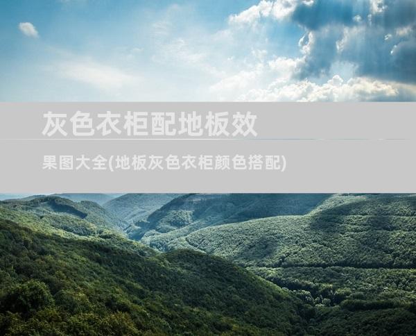 灰色衣柜配地板效果图大全(地板灰色衣柜颜色搭配)