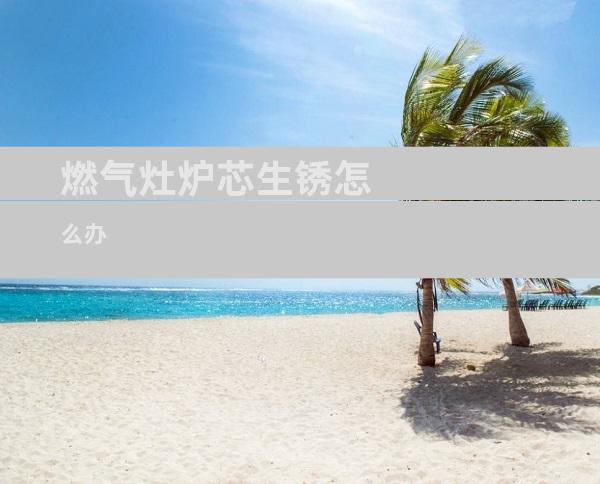 燃气灶炉芯生锈怎么办
