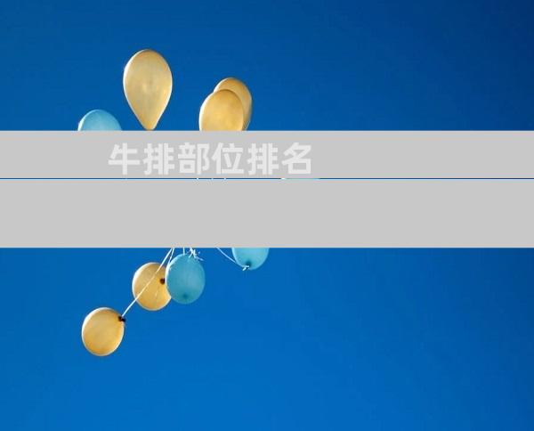 牛排部位排名