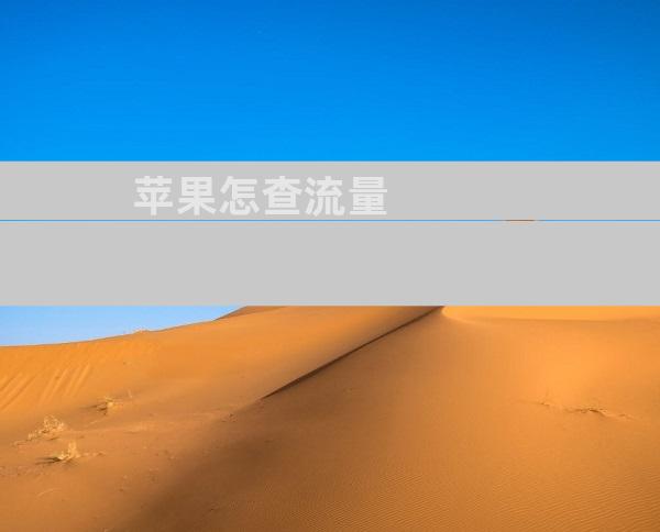 苹果怎查流量