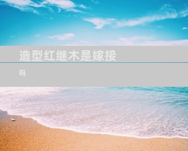 造型红继木是嫁接吗