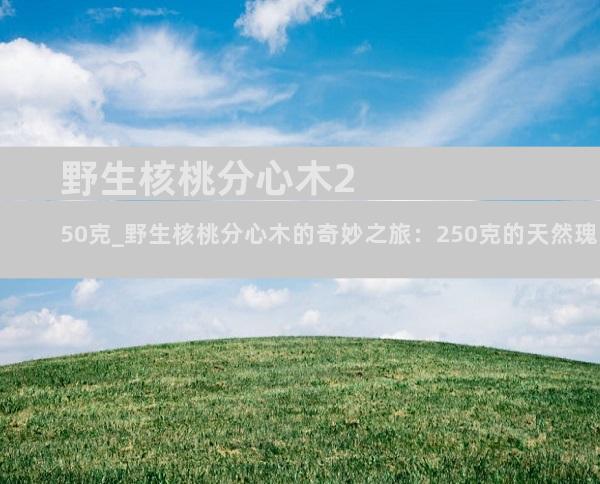 野生核桃分心木250克_野生核桃分心木的奇妙之旅：250克的天然瑰宝