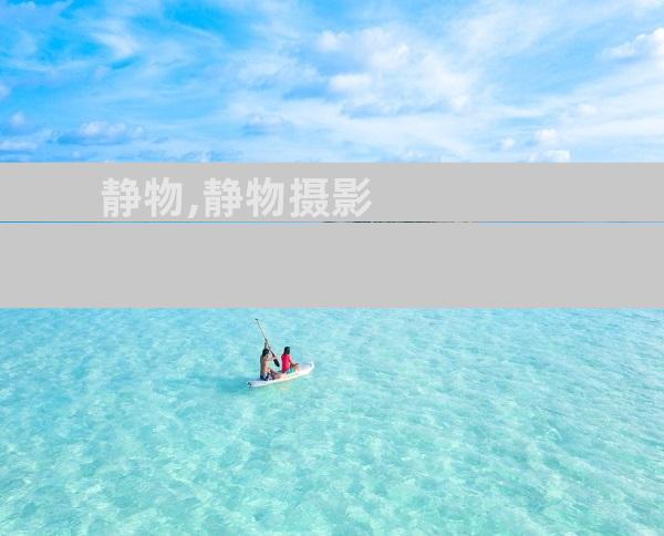 静物,静物摄影