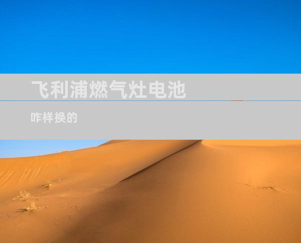 飞利浦燃气灶电池咋样换的