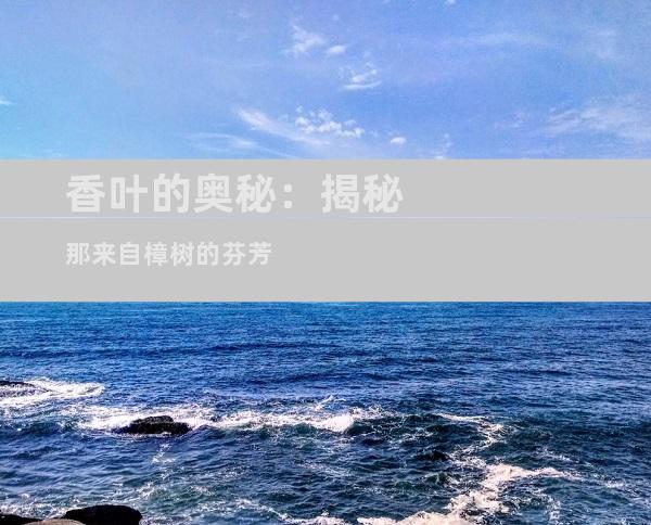 香叶的奥秘：揭秘那来自樟树的芬芳