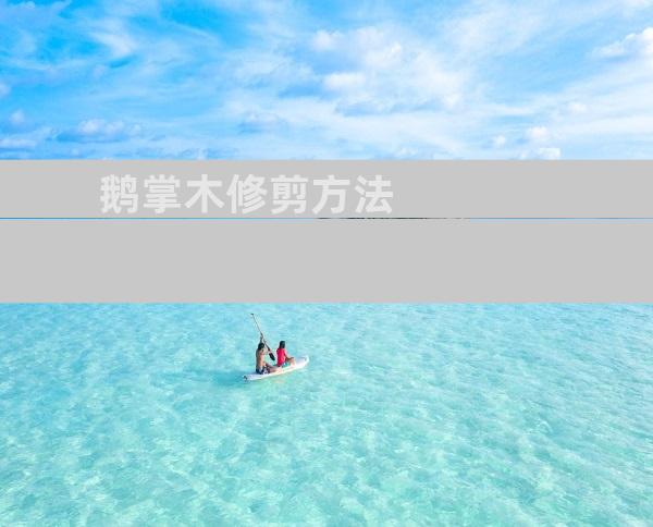 鹅掌木修剪方法