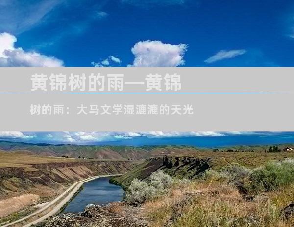 黄锦树的雨—黄锦树的雨：大马文学湿漉漉的天光